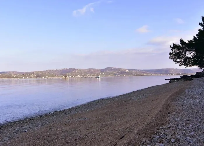 Loredana Kat By Interhome