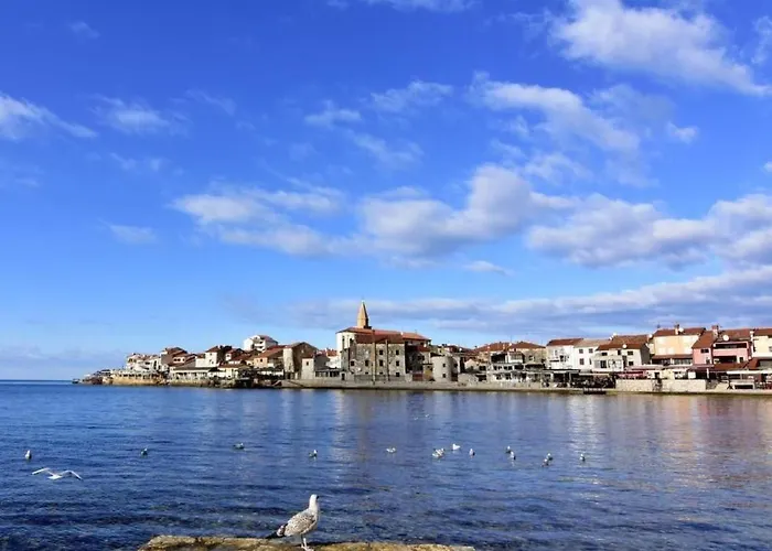 Loredana Kat By Interhome Umag