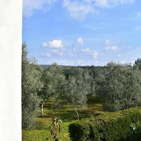 Loredana Kat By Interhome Apartment Umag